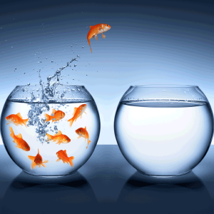 EXIT STRATEGIES